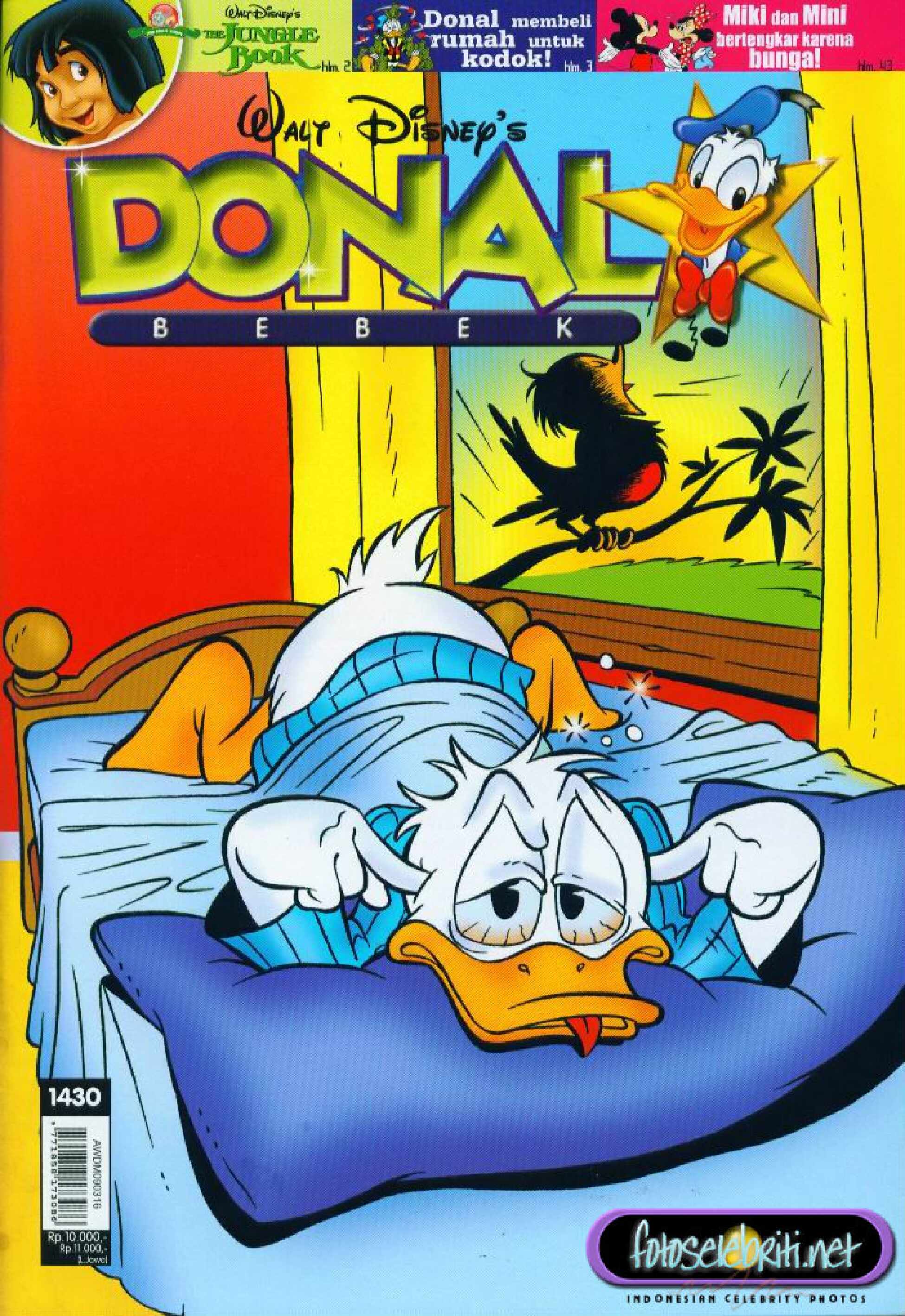 10-donal-bebek-rumah-untuk-kodok