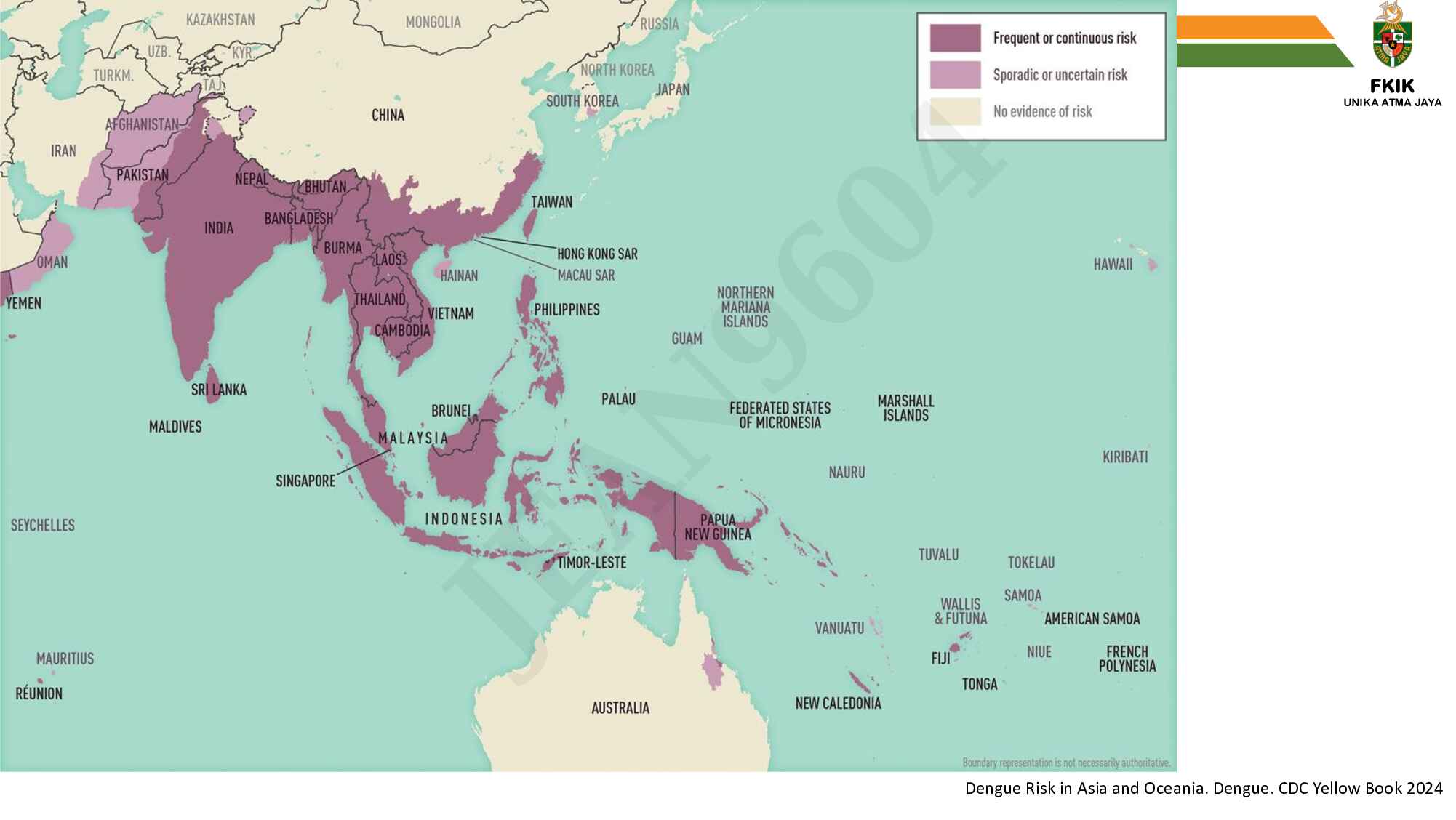 10.-telaah-lebih-dalam-penyakit-infeksi-tropis-yang-umum-dijumpai-di-fktp-579