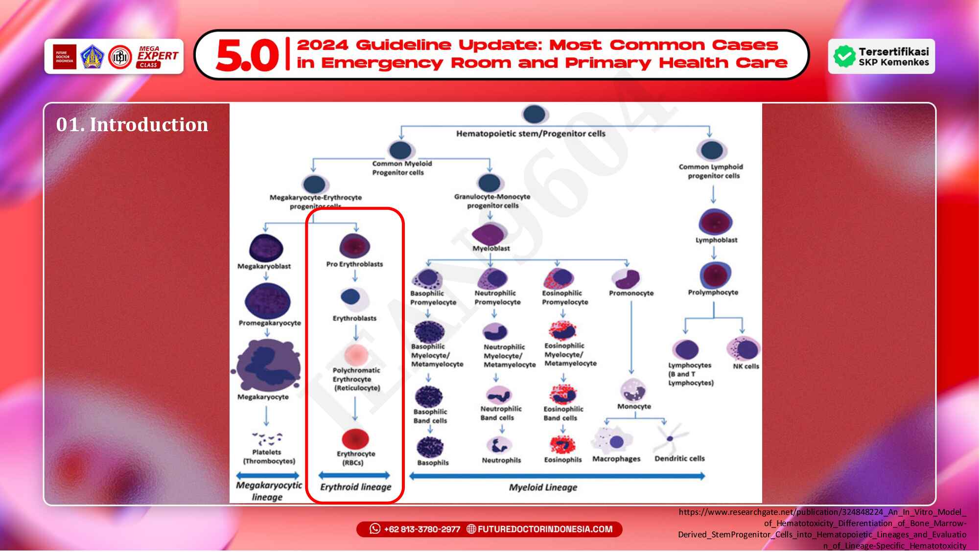 11.-pendekatan-diagnosis-dan-manajemen-anemia-371