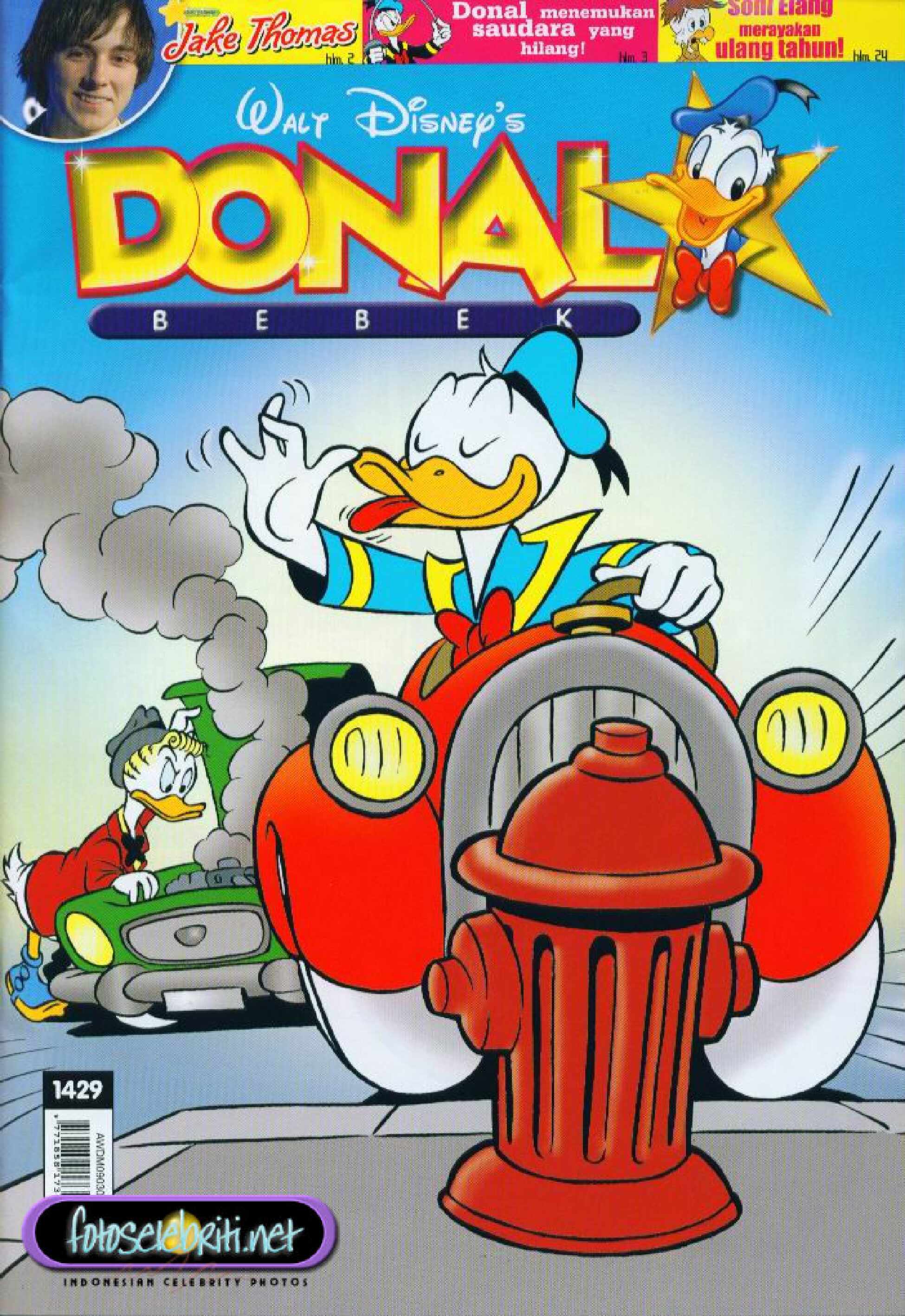 2-donal-bebek-saudara-dekat