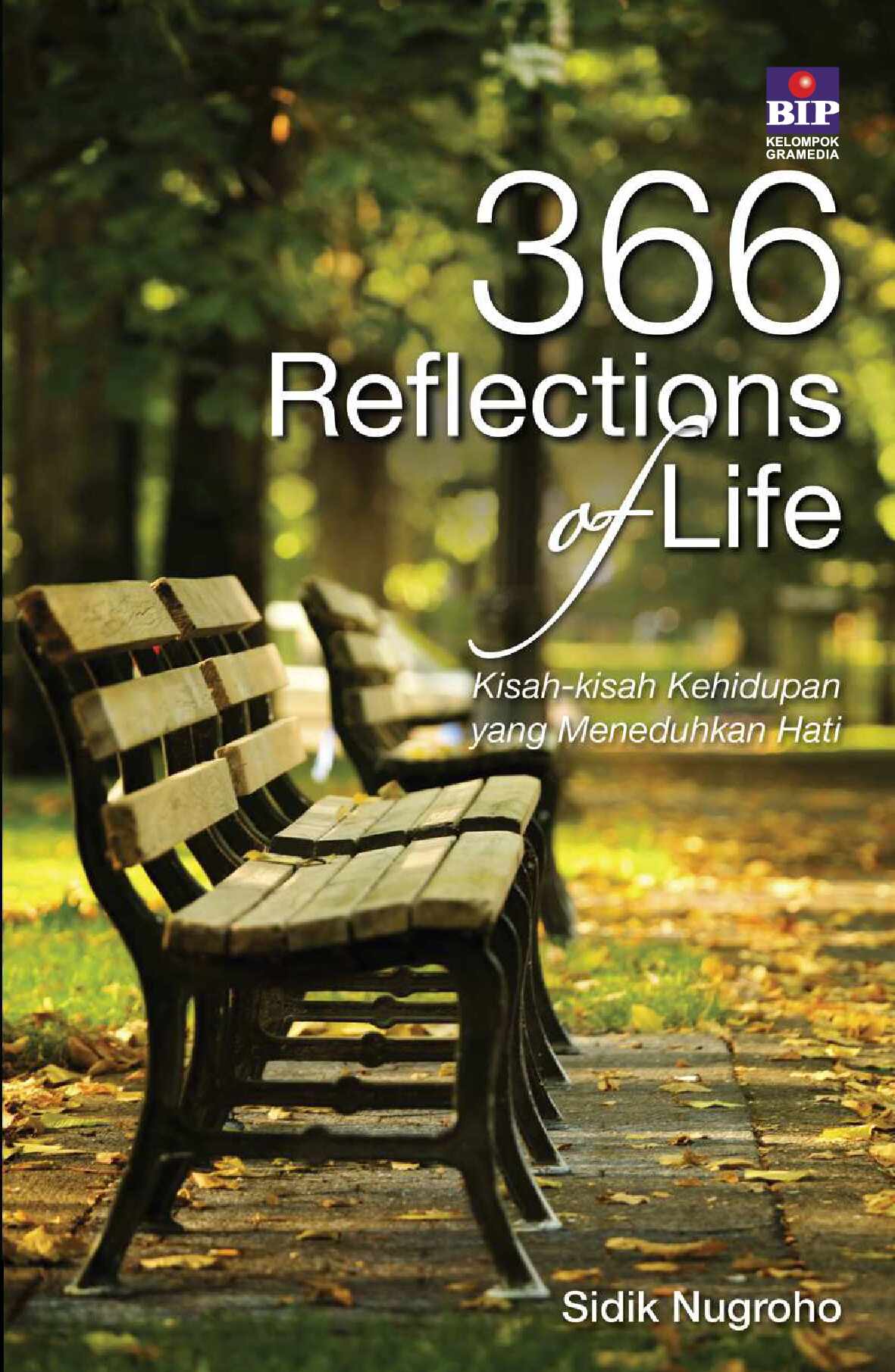 366-reflections-of-life