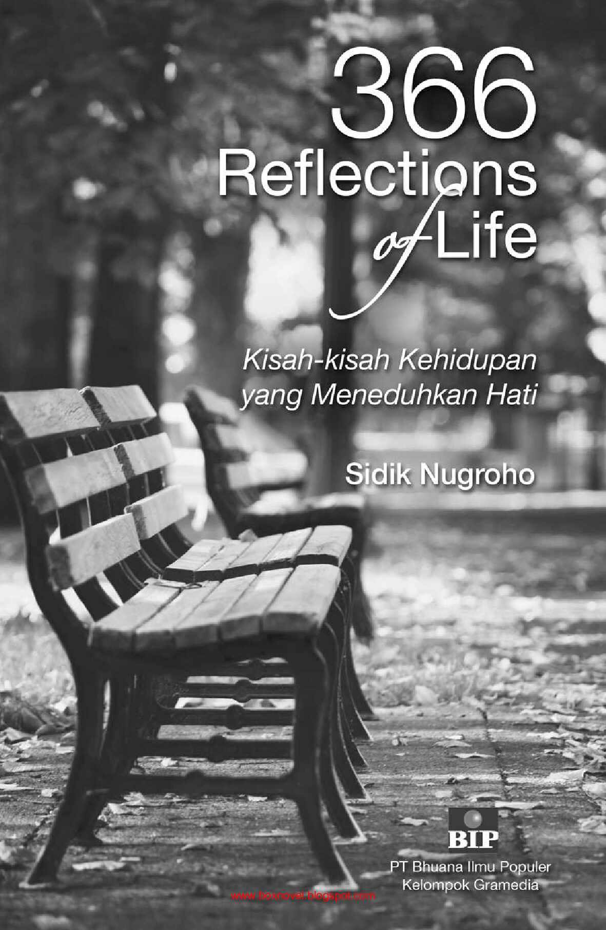 366-reflections-of-life