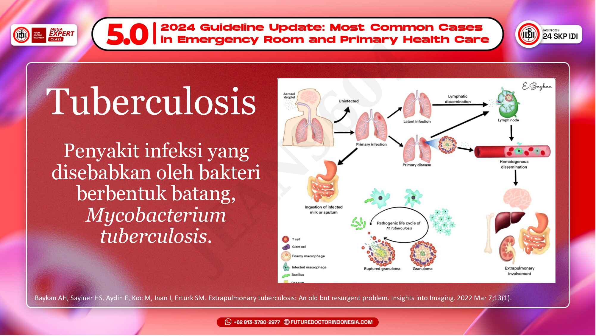 4.-penanganan-tuberkulosis-ppok-dan-pneumonia-sebagai-dokter-umum-662