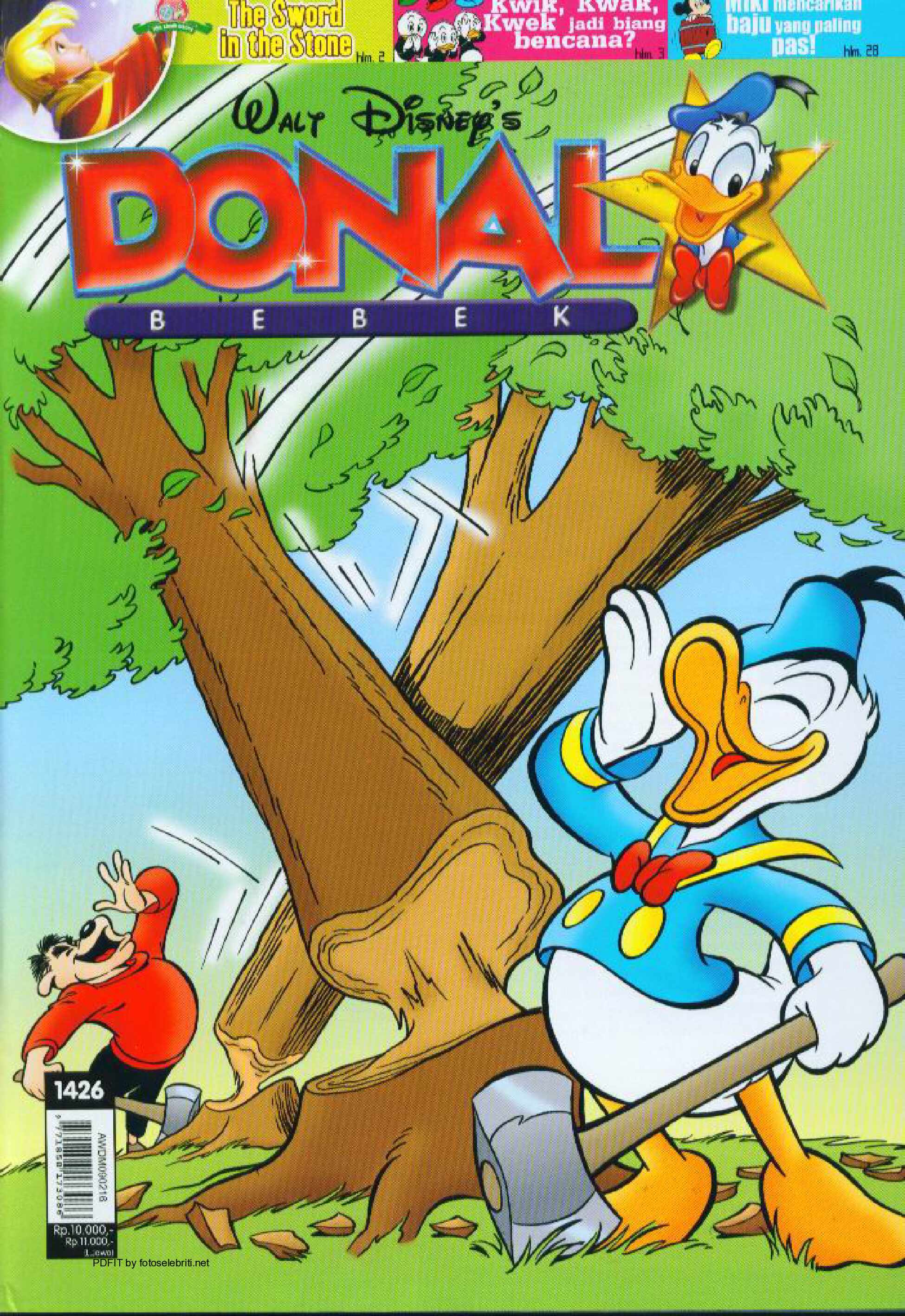 5-donal-bebek-kecelakaan