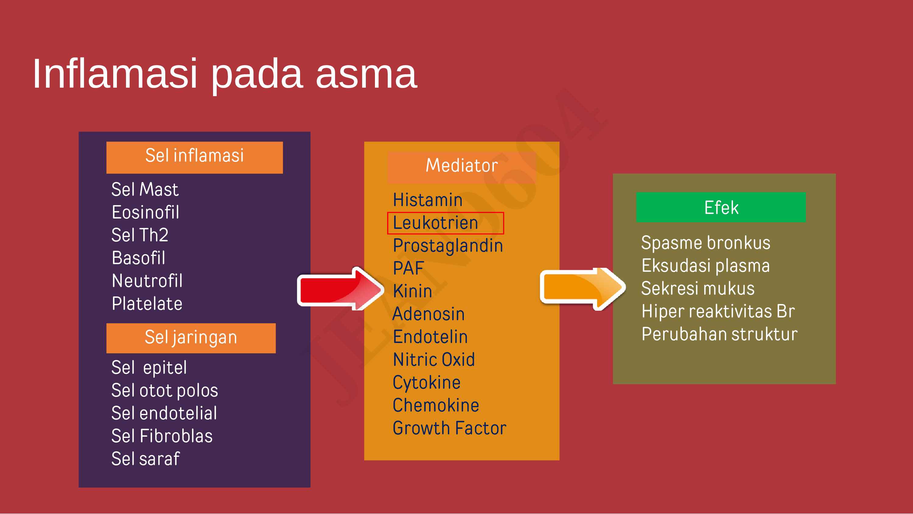 6.-asma-pada-dewasa-dan-anak-apa-bedanya-483