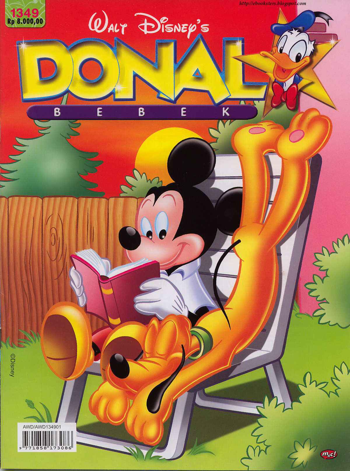8-donal_bebek_buruan_polisi