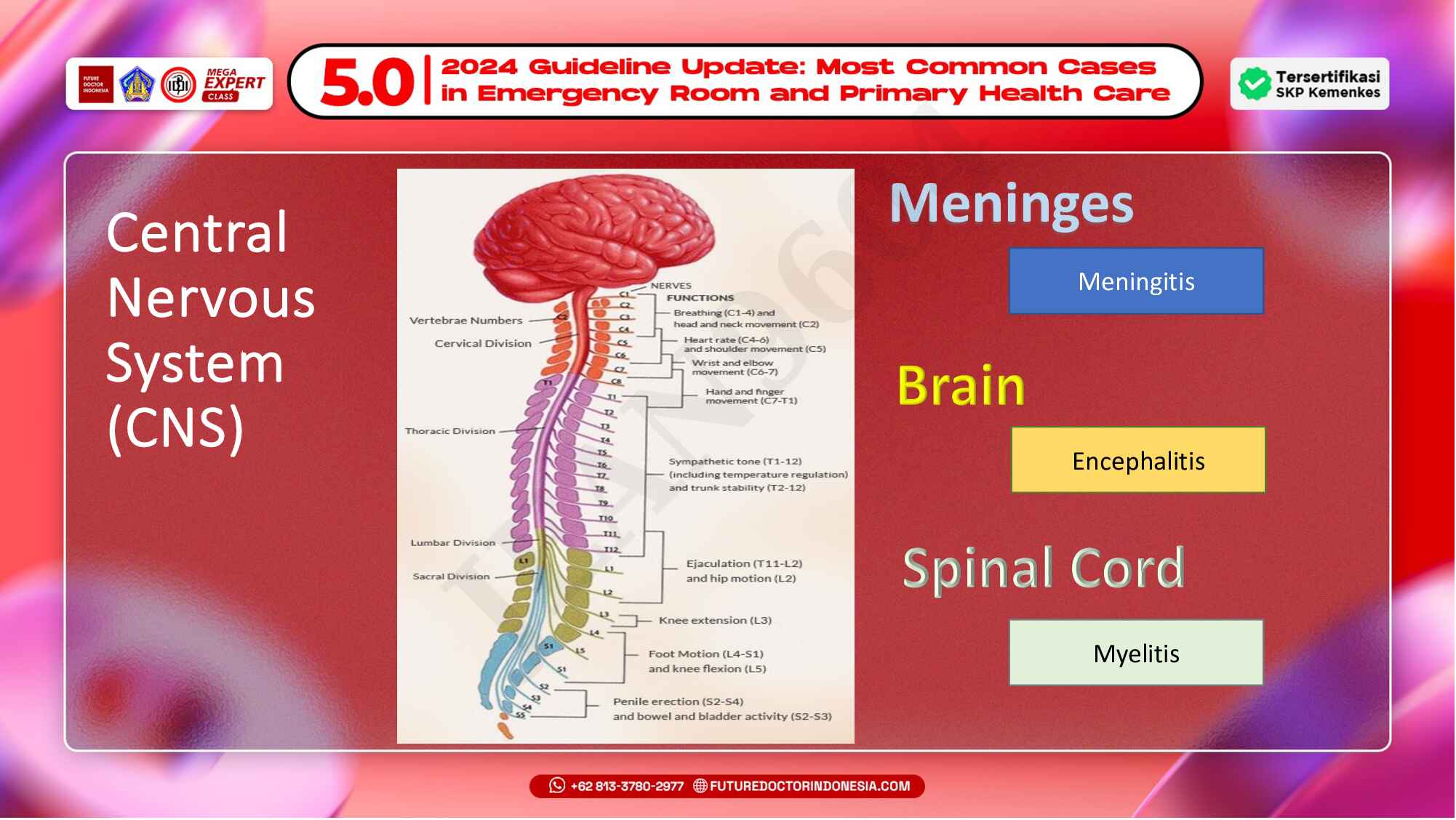 9.-pendekatan-diagnosis-dan-tatalaksana-awal-infeksi-sistem-saraf-pusat-231