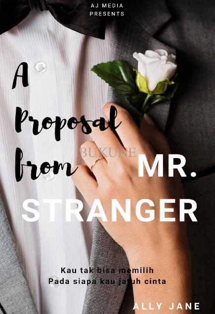 a proposal from mr stranger by ally jane