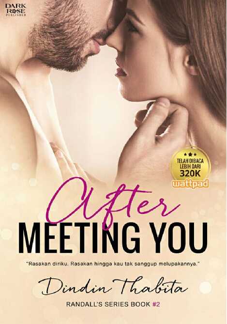 after meeting you by dindin thabita