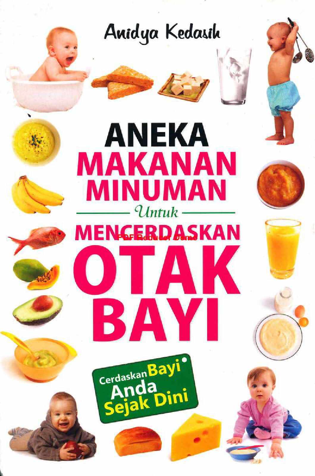 aneka-makanan-minuman-untuk-mencerdaskan-otak-bayi-by-anidya-kedasih