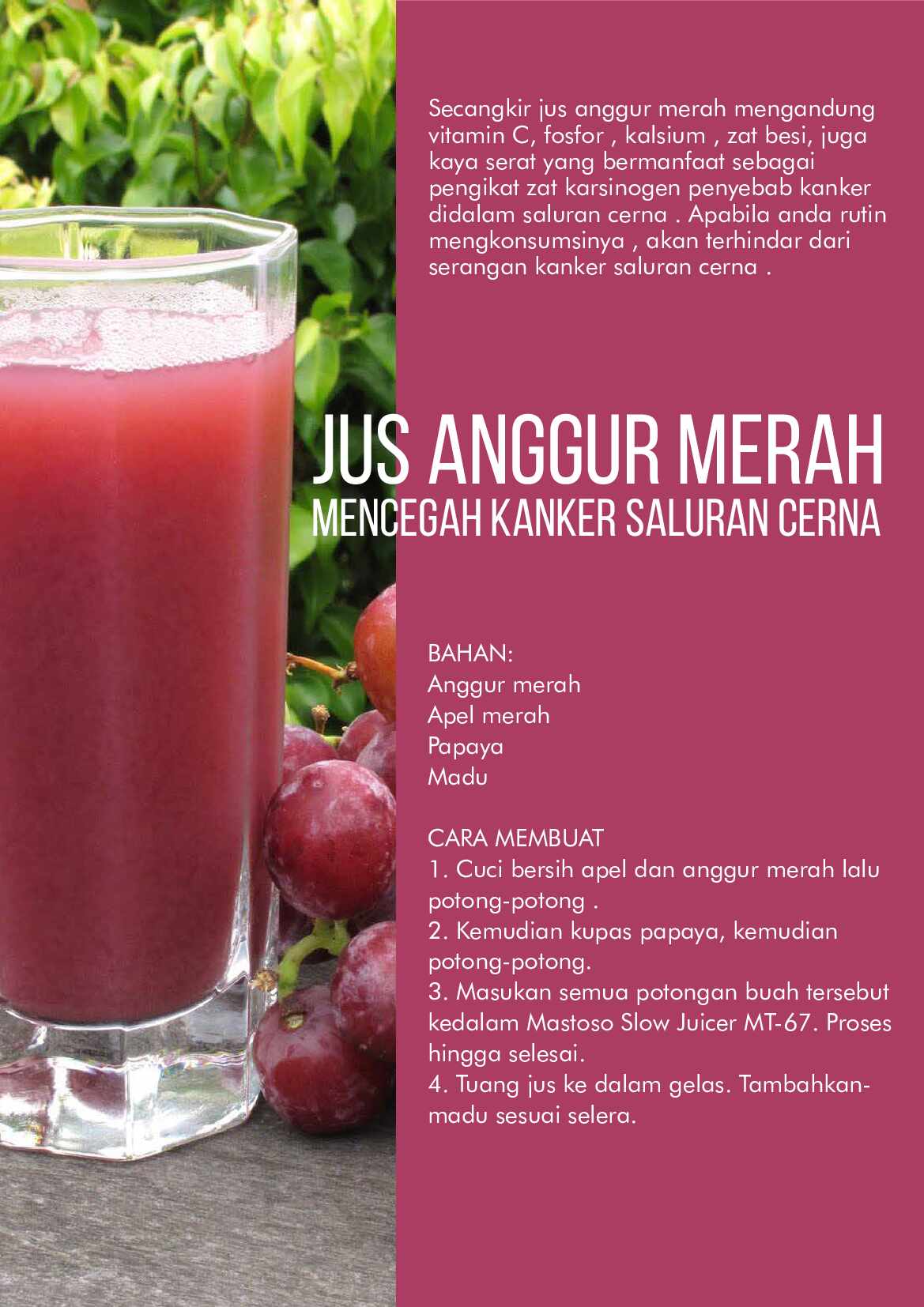 aneka-resep-jus-sehat-mastoso-slow-juicer-mt-67-bagian-1-by-tim-penyusun