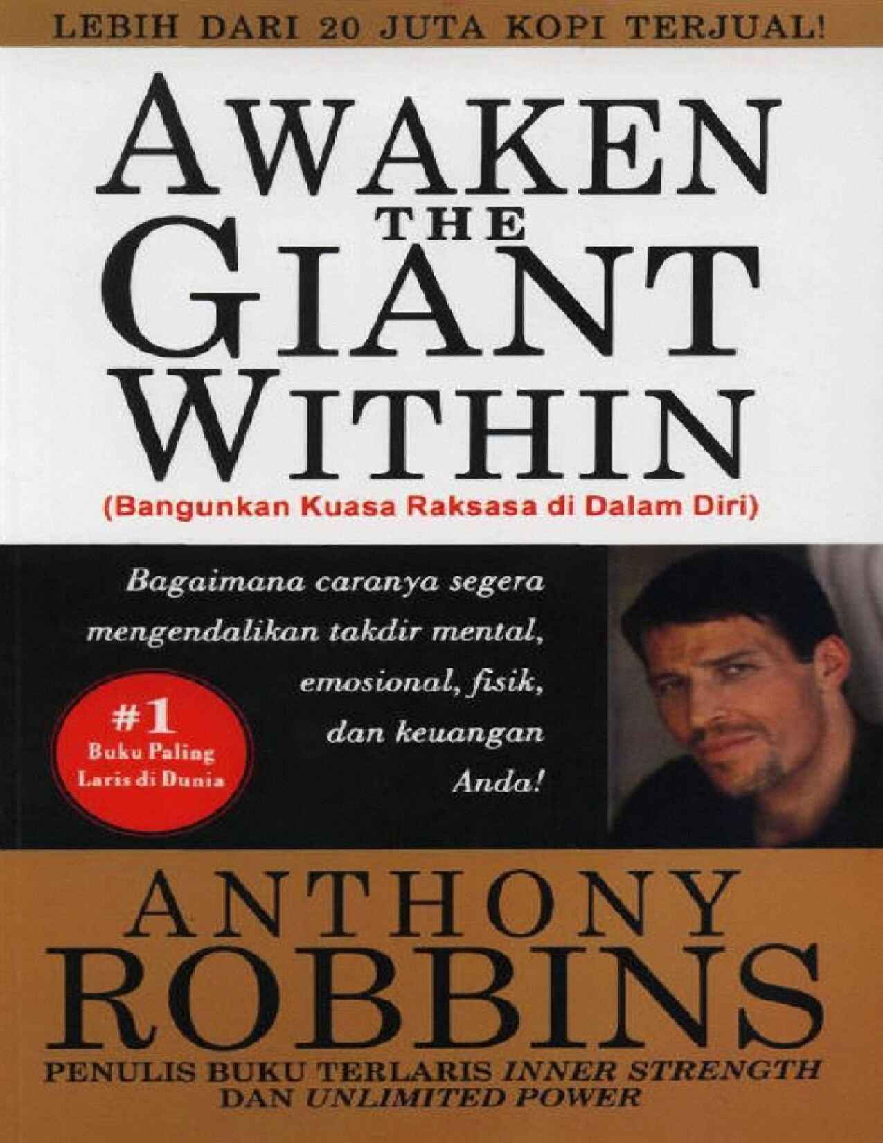 awaken-the-giant-indonesia