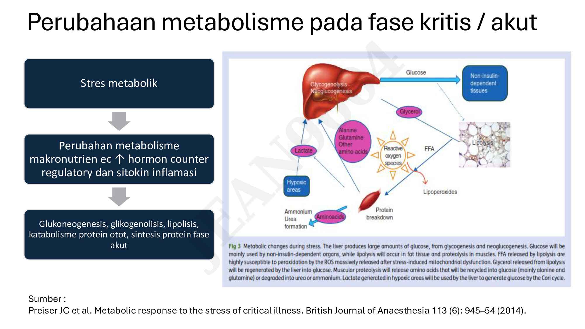 bec_dietary_&_nutrition_in_critical_patients_unlocked-724