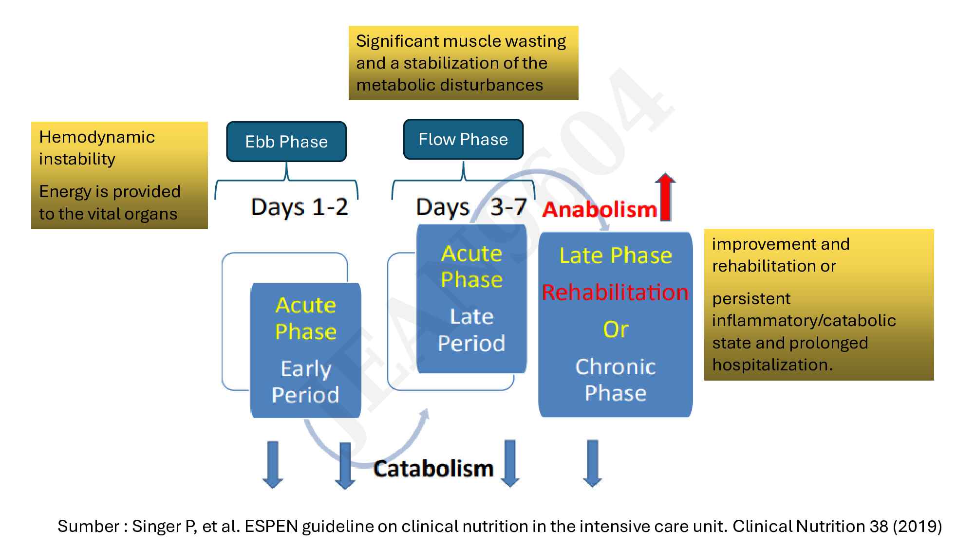 bec_dietary_&_nutrition_in_critical_patients_unlocked-724