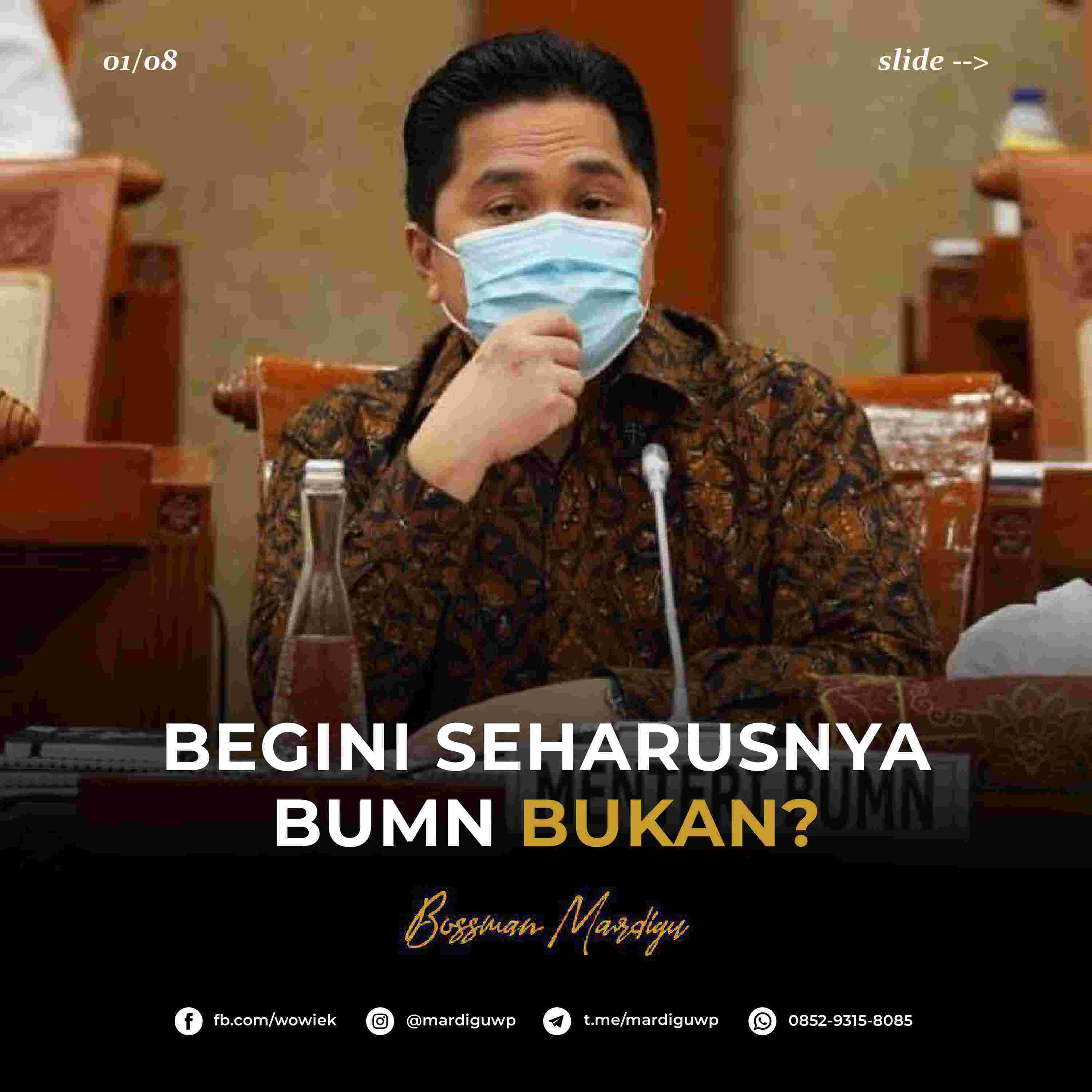 Begini Seharusnya Bumn Bukan
