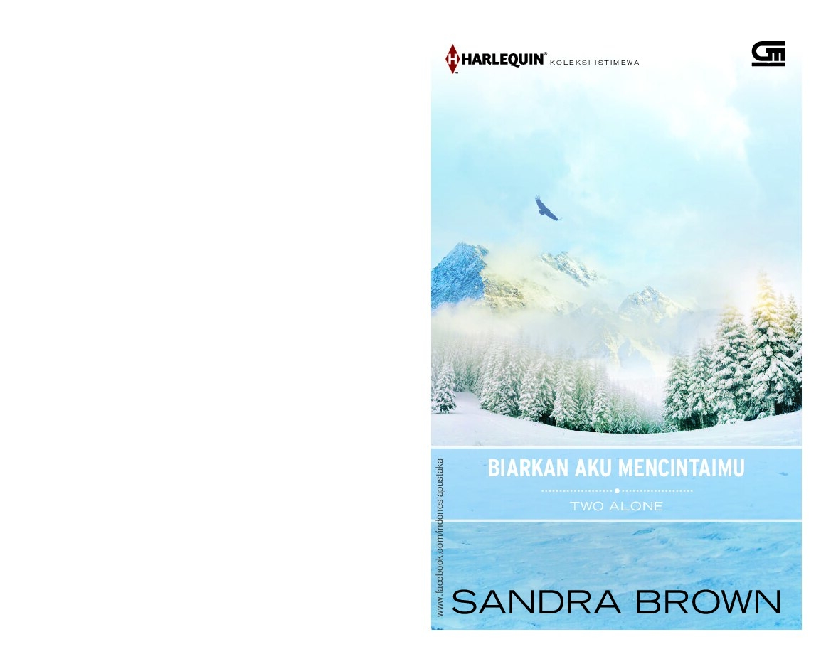 biarkan-aku-mencintaimu-two-alone-by-sandra-brown