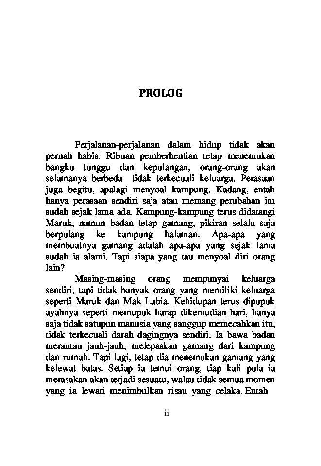 binga-sebuah-novel-by-arif-p-putra