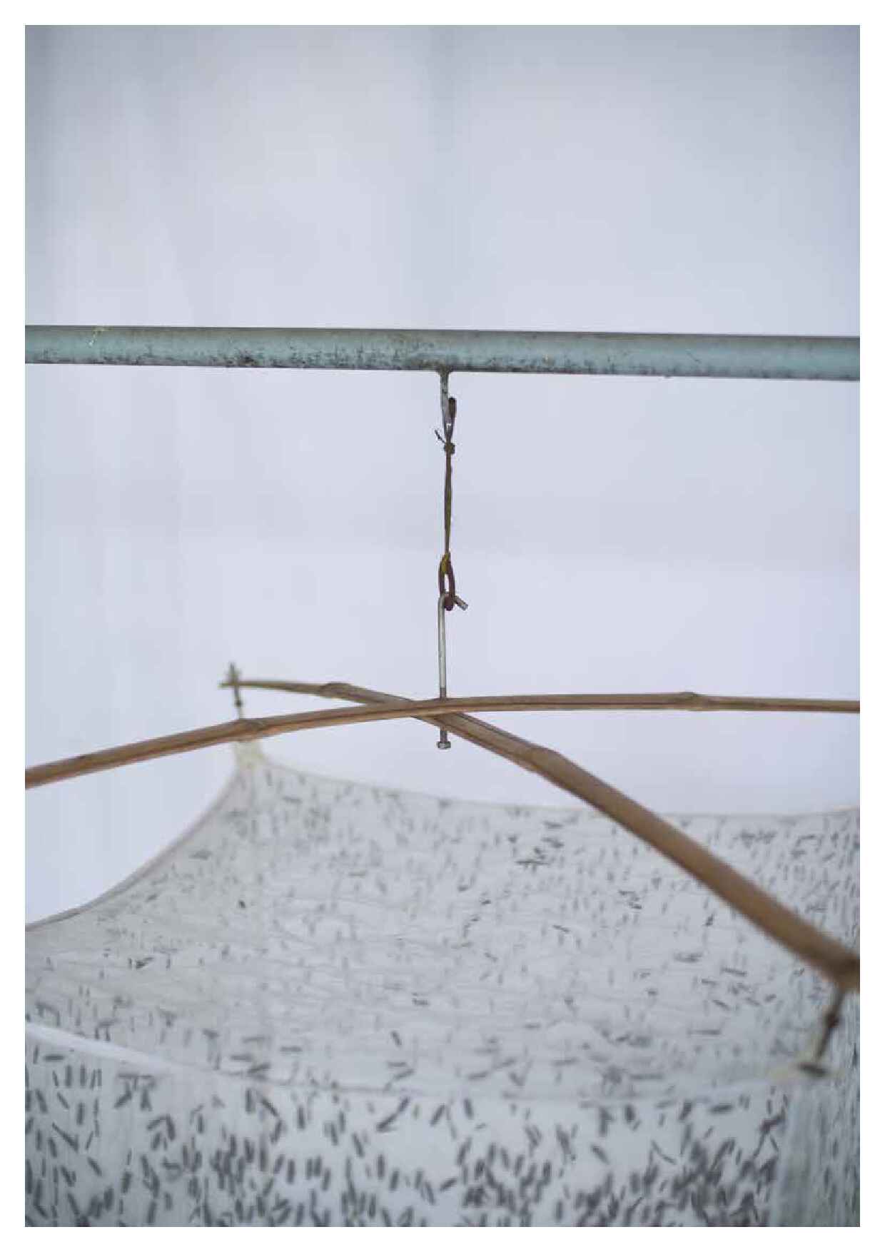 bsf-biowaste-processing-lr-1-52