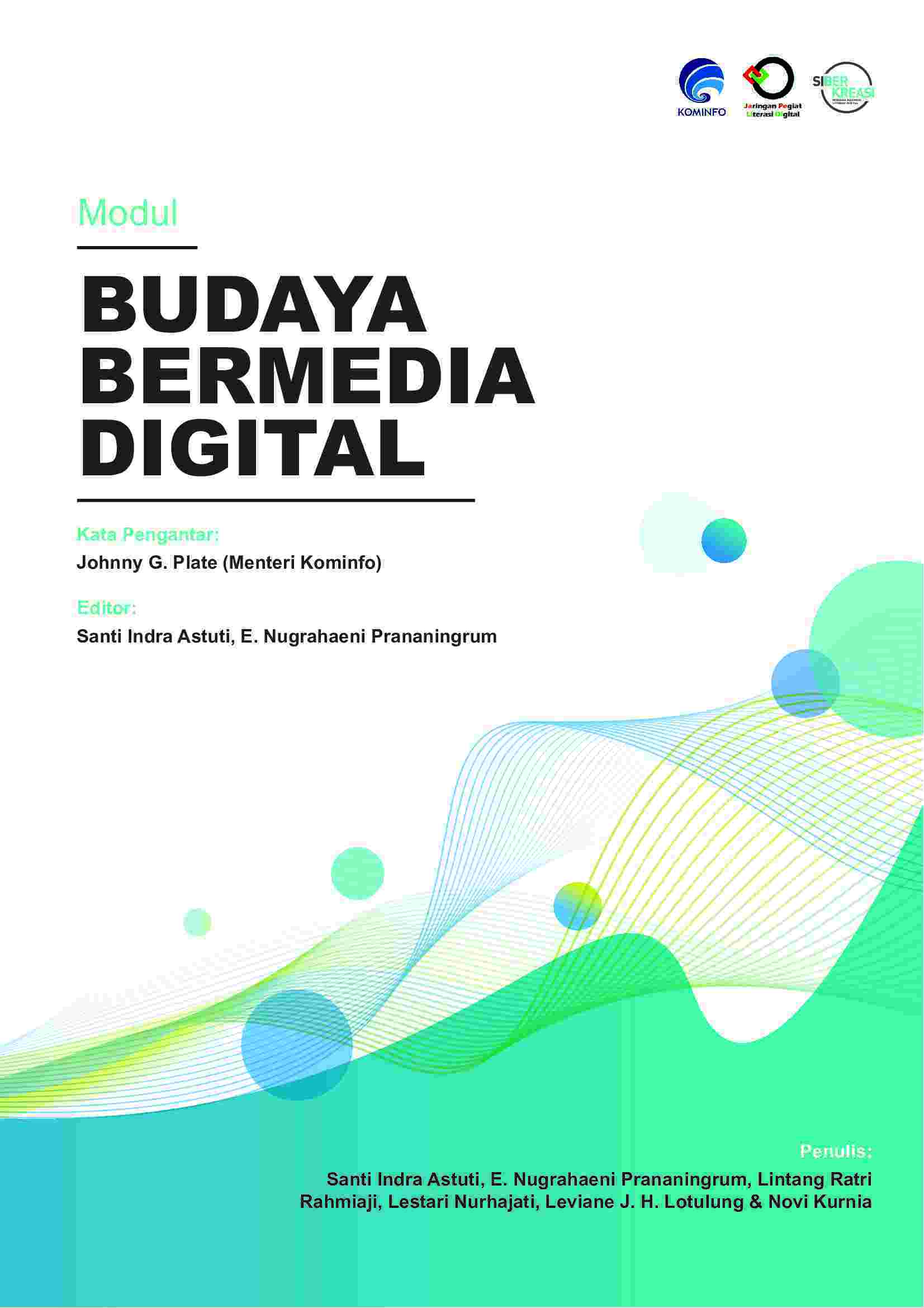 budaya bermedia digital final