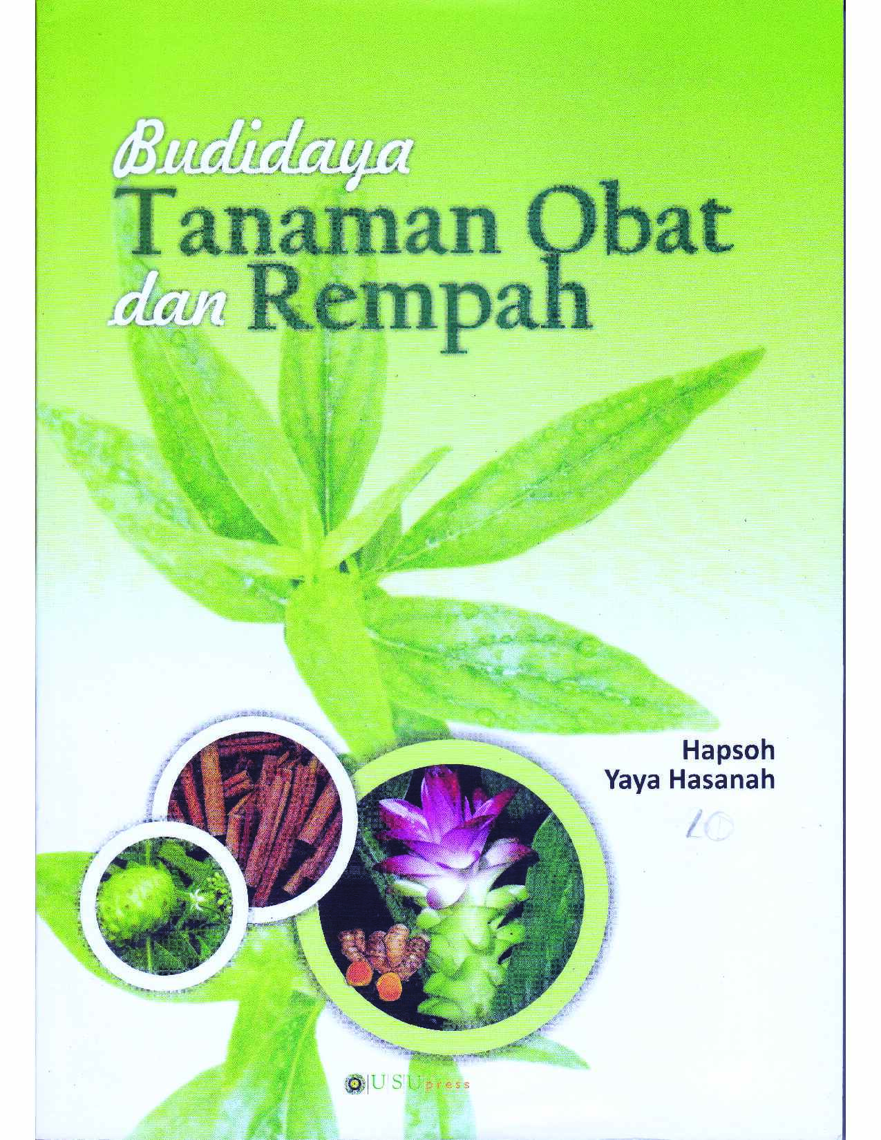 budidaya-tanaman-obat-dan-rempah-by-hapsoh-dan-yaya-hasanah