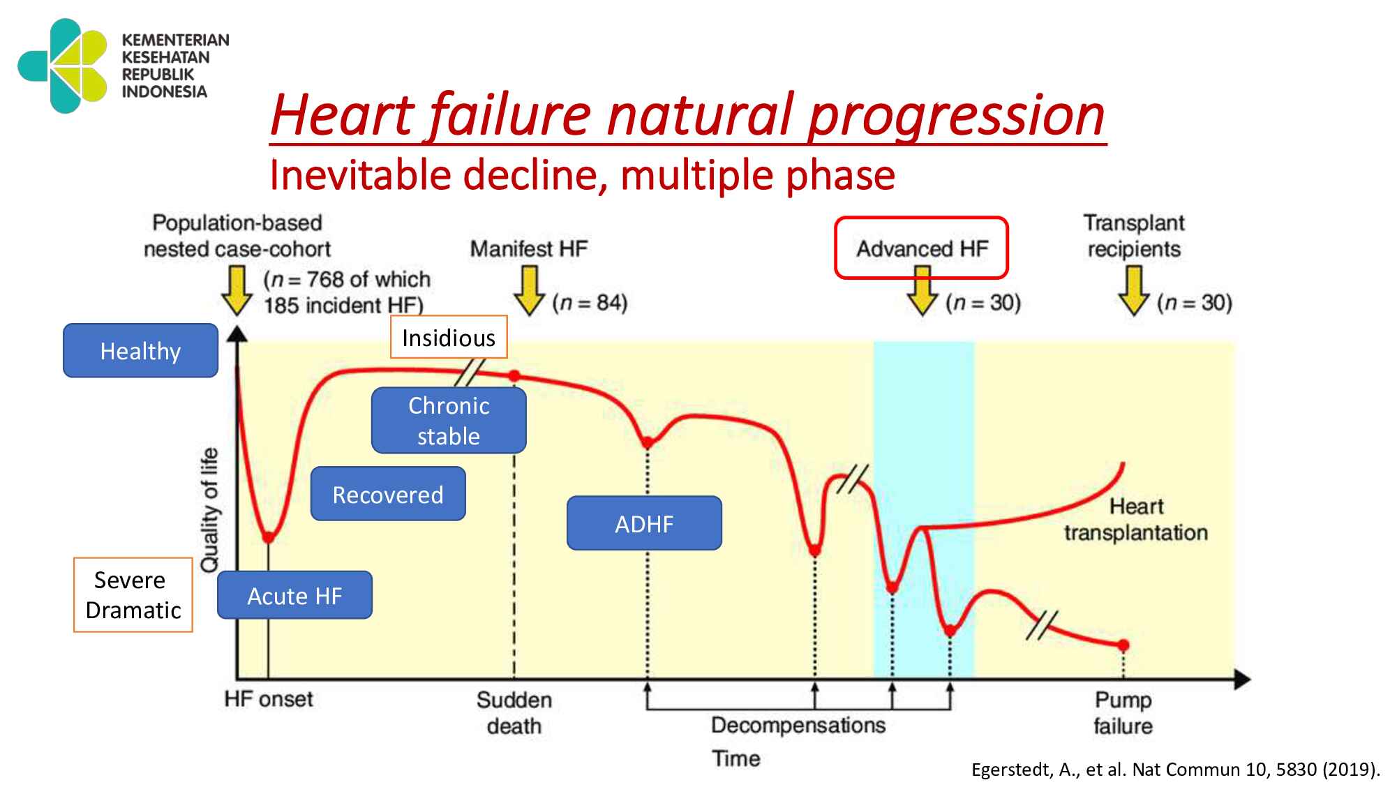 congestive-heart-failure_-from-symptoms-to-stabilization-237