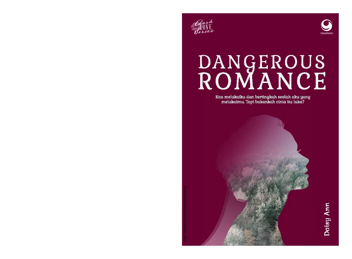 dangerous-romance-by-daisy-ann