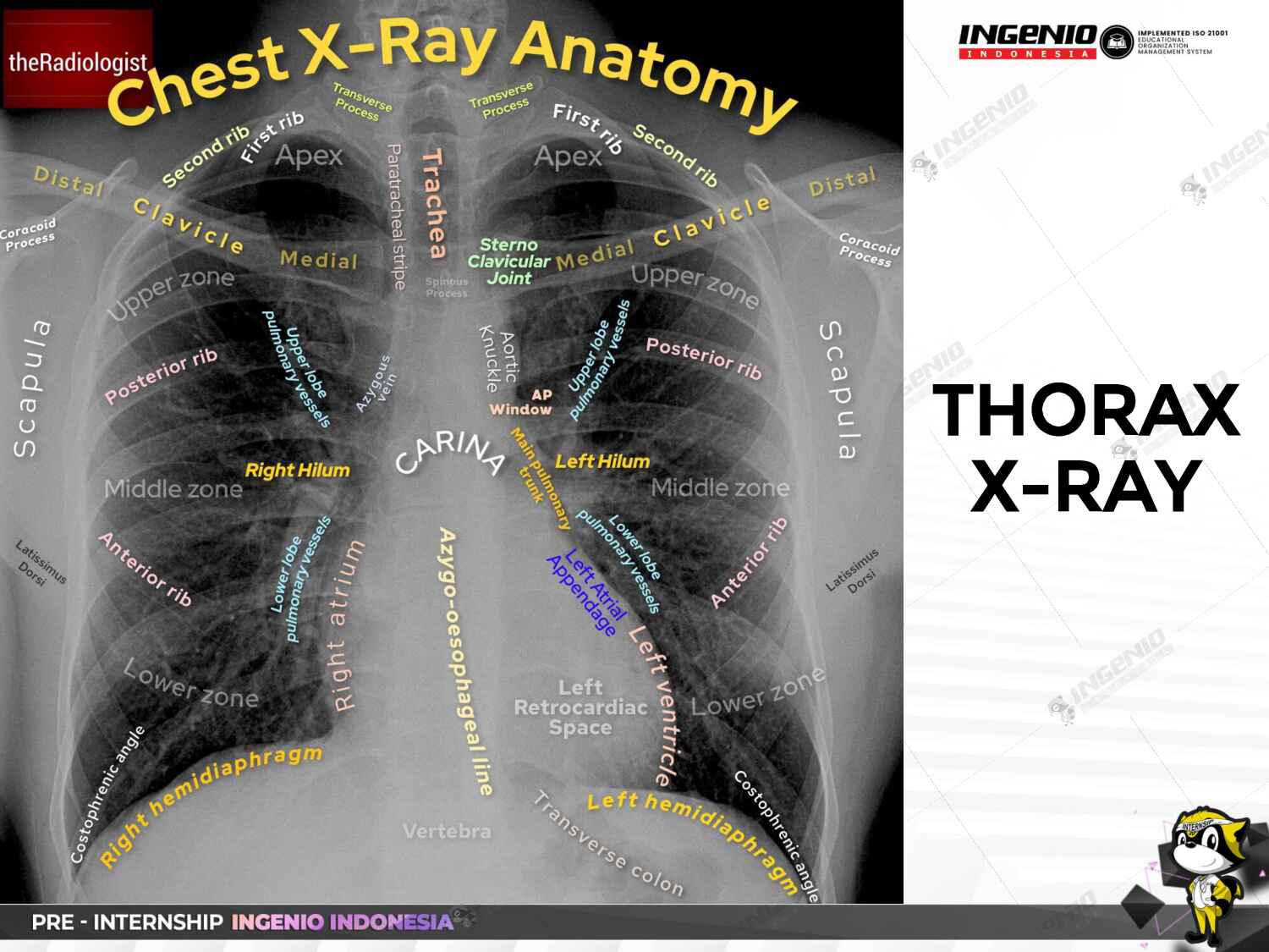 day-4_radiology-emergency-(dr.-wisniardhy-suarnata-sp.rad)-900