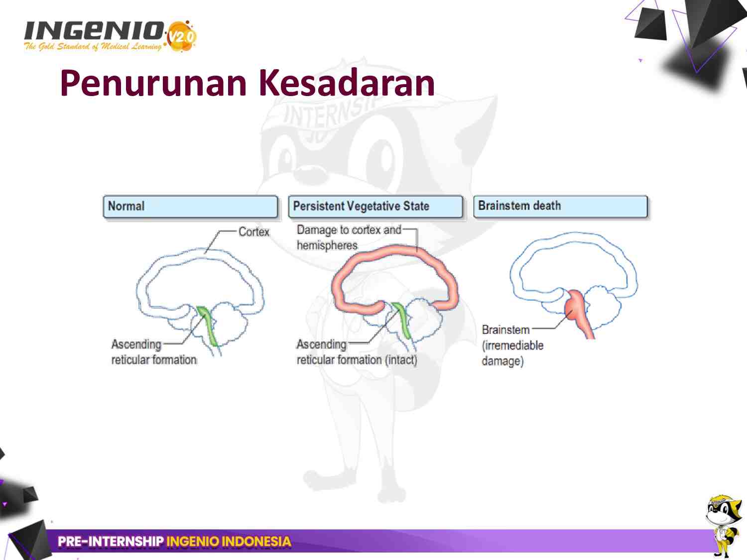 day-6---pre-internship-ingenio-dr.-dico-gunawijaya-sp.n-aifo-k-(04-mei-2025)-195