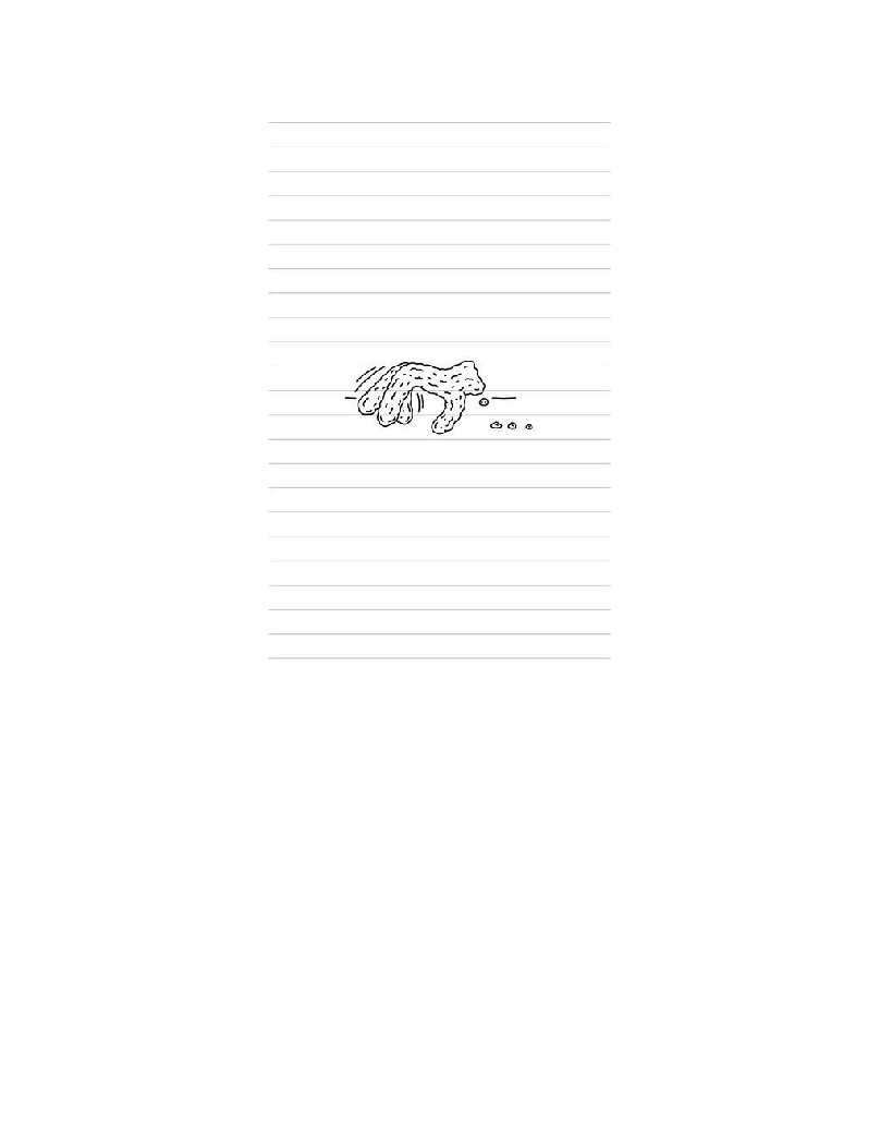 diary-of-a-wimpy-kid--04----dog-days---jeff-kinney