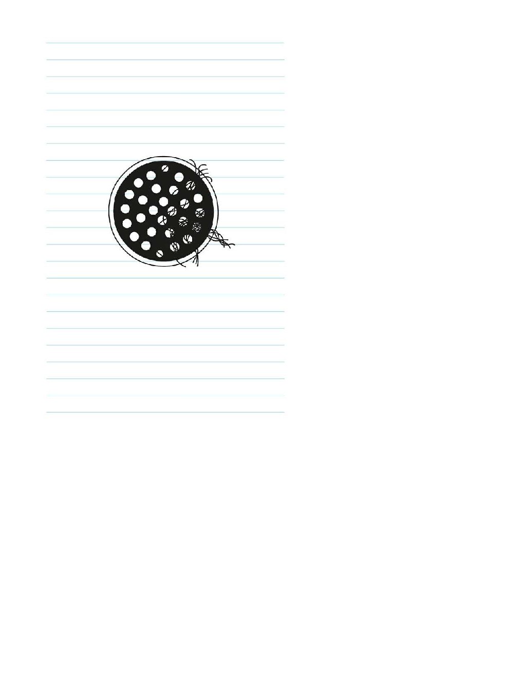 diary-of-a-wimpy-kid-14-wrecking-balljeff-kinney