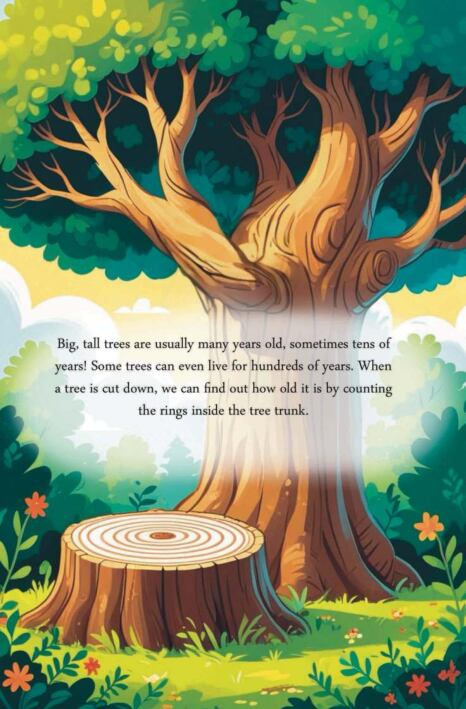 finding-out-a-trees-age-ebs-1771059103590