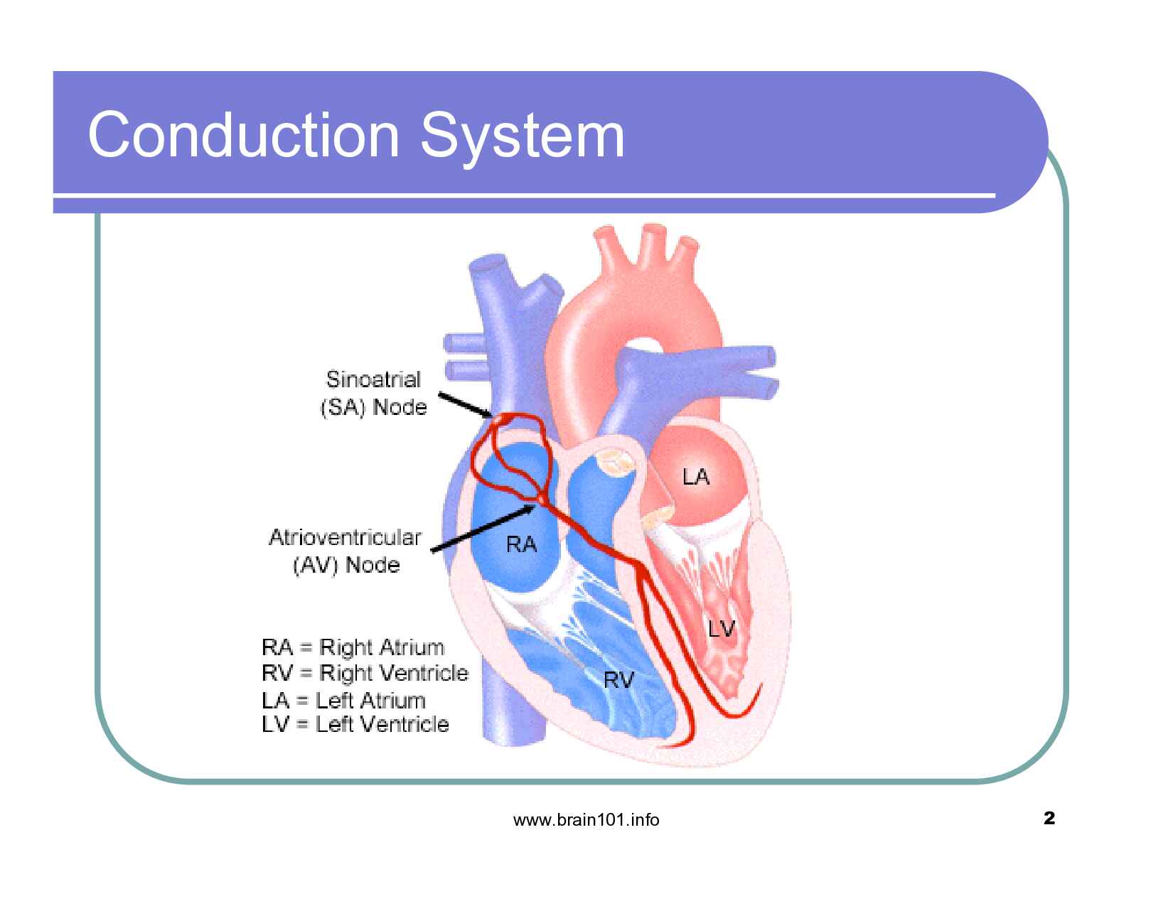 flash-cards-ekg-295