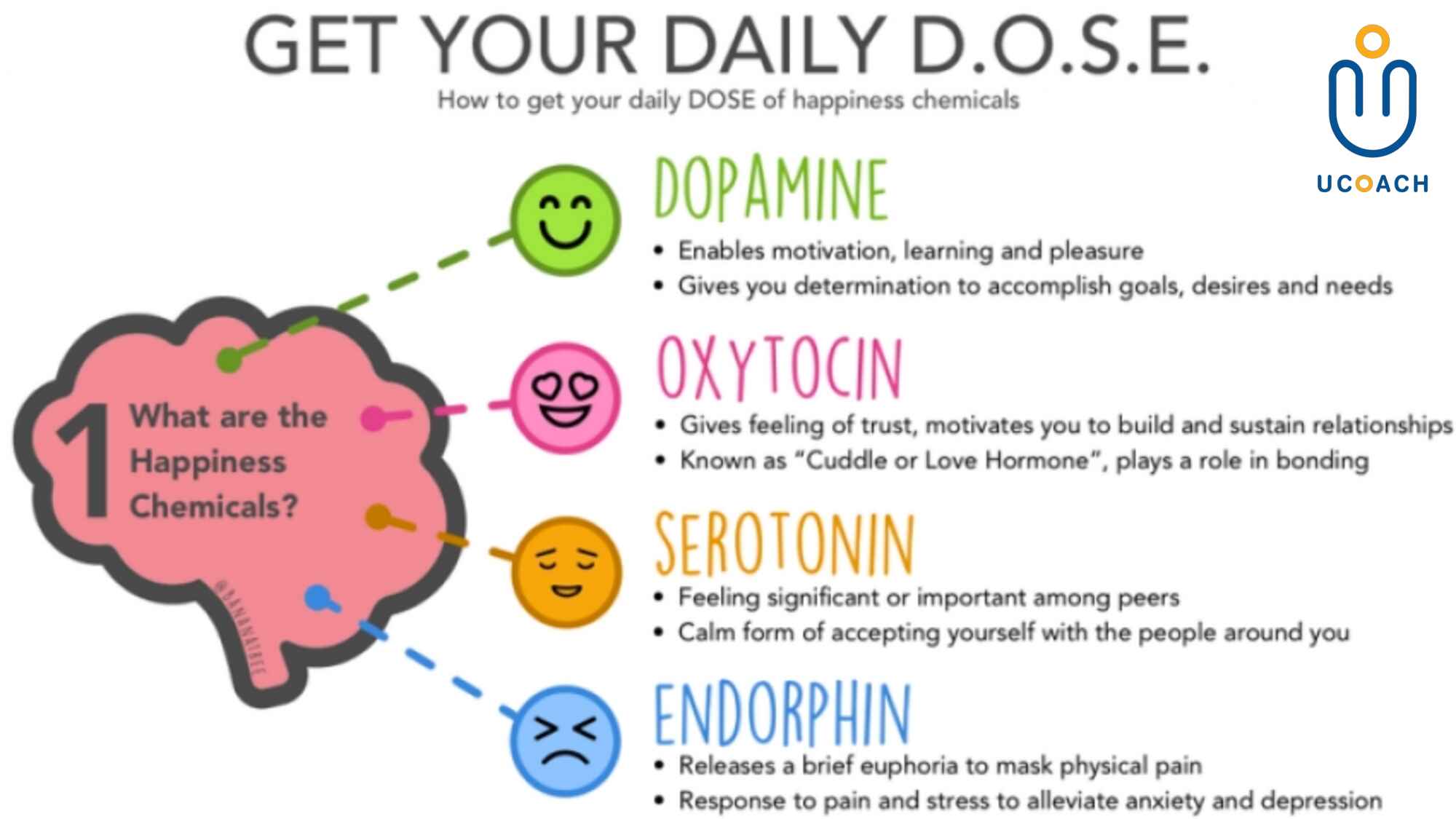 hacking-your-mind-v1