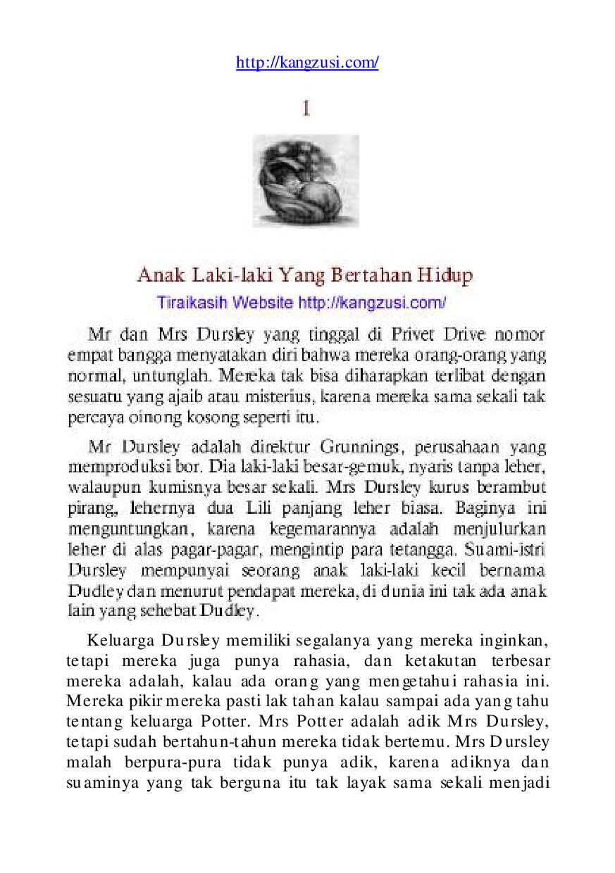 harry-potter-and-the-stone