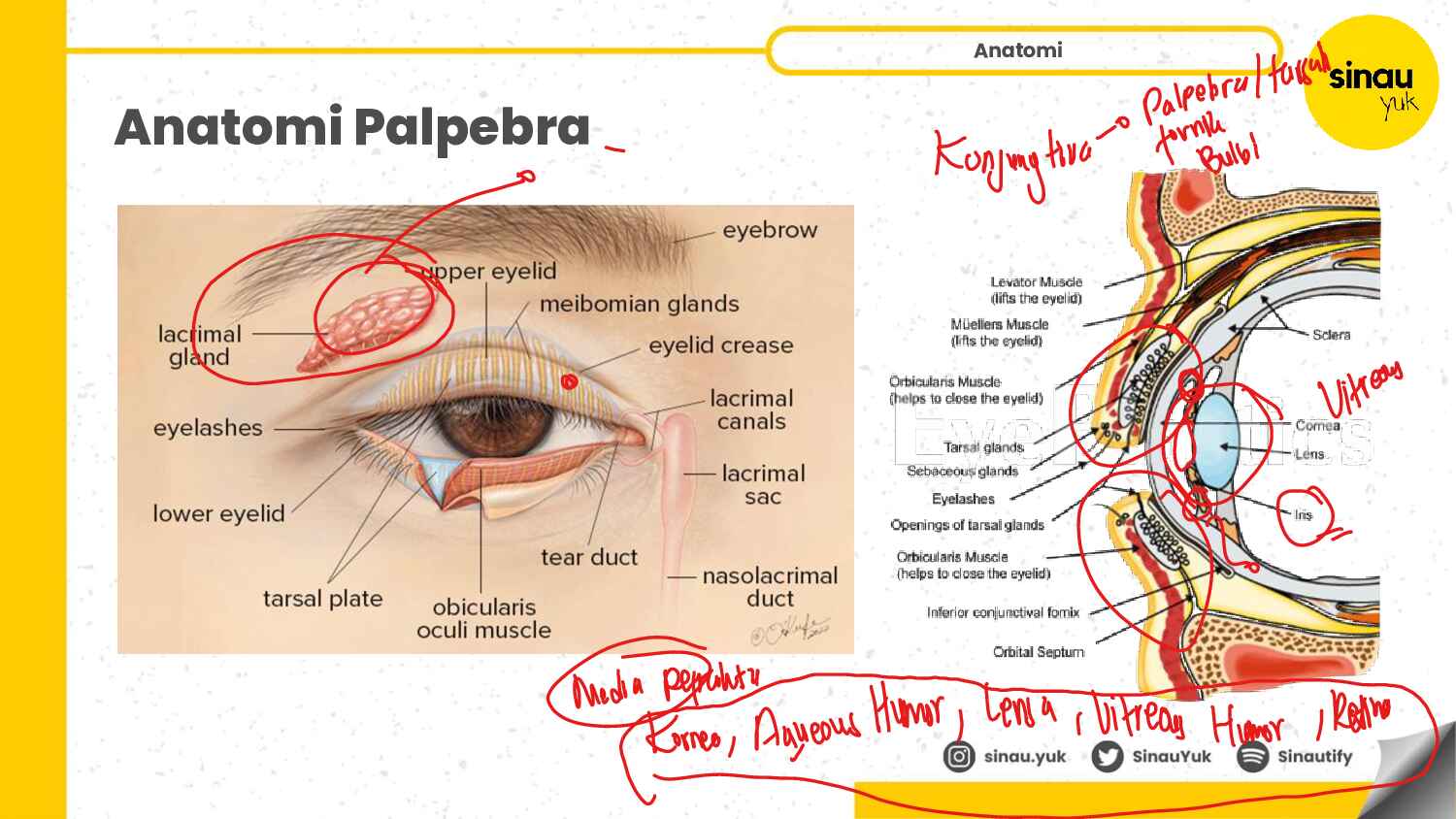 indera-sinau-yuk-2025-batch-3-internship-931