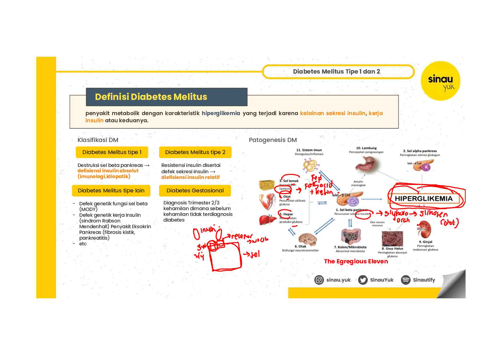 interna-sinau-yuk-2025-batch-3-internship-381