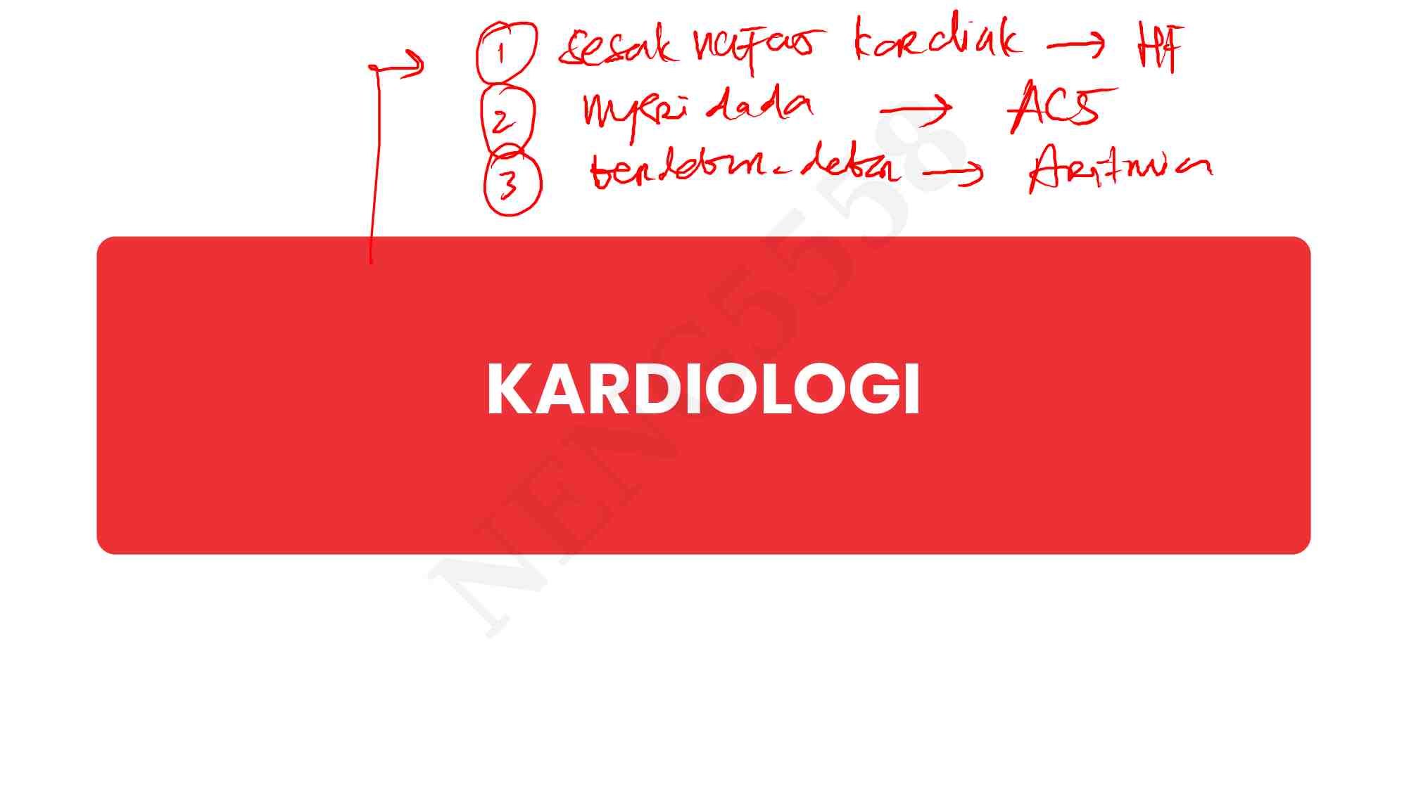 kardio---pulmo-coret-554