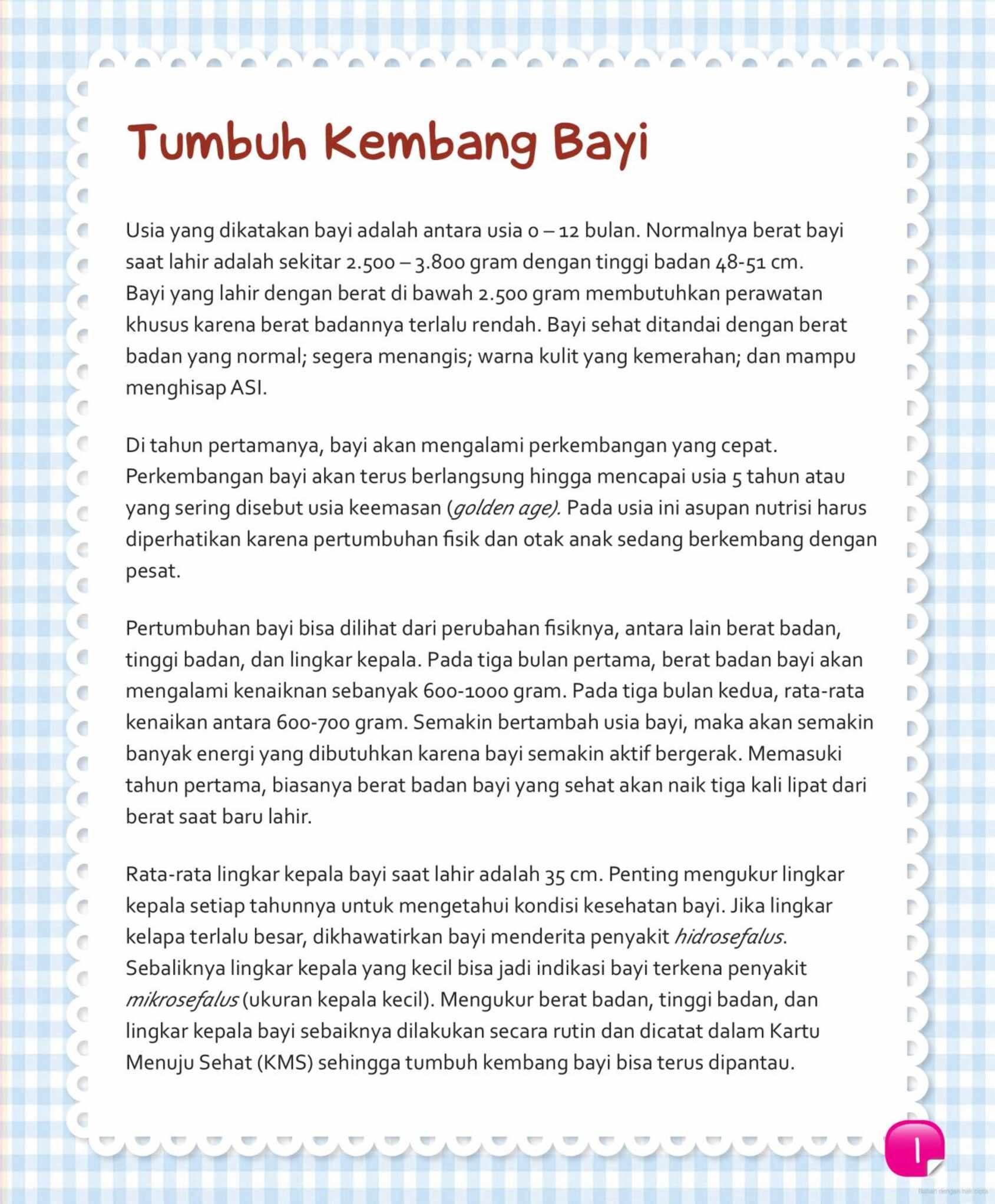 kumpulan-resep-mpasi-harian-untuk-bayi-6---24-bulan