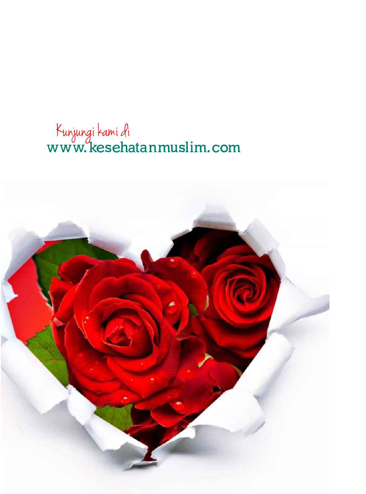 majalah-kesehatan-muslim-edisi-14