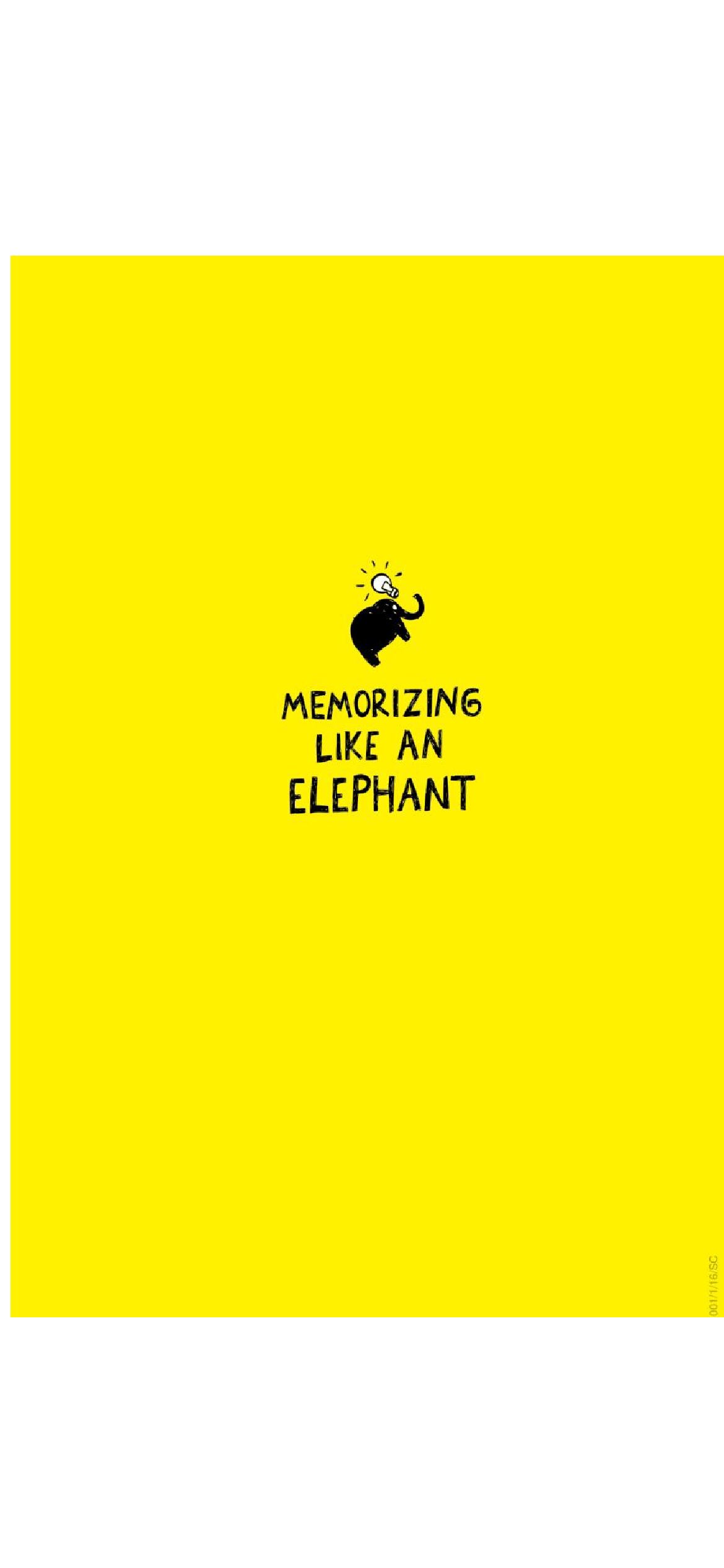 memorizing-like-an-elephantyudi-l