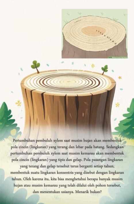 menghitung-usia-pohon-ebs-1765067848397