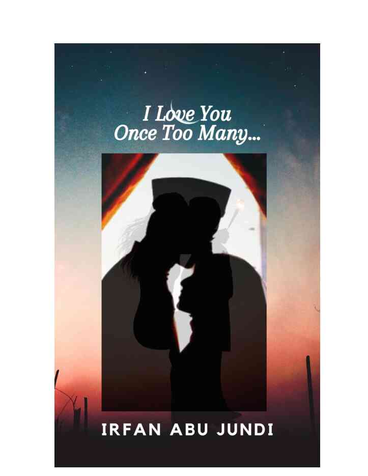 novel i love you once too many