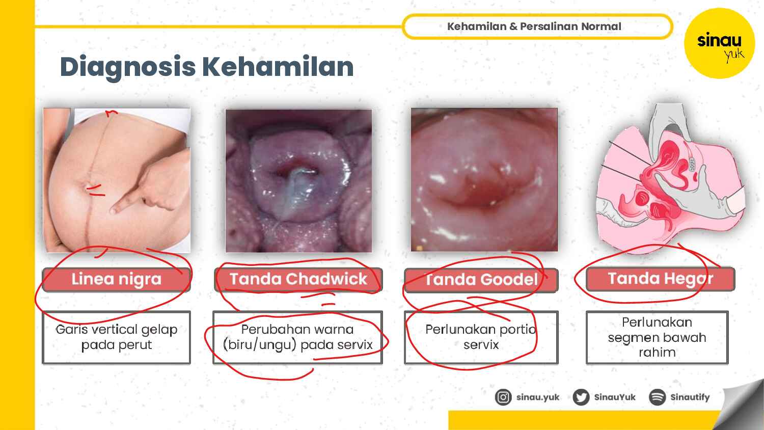 obsgyn-sinau-yuk-2025-batch-3-internship-133