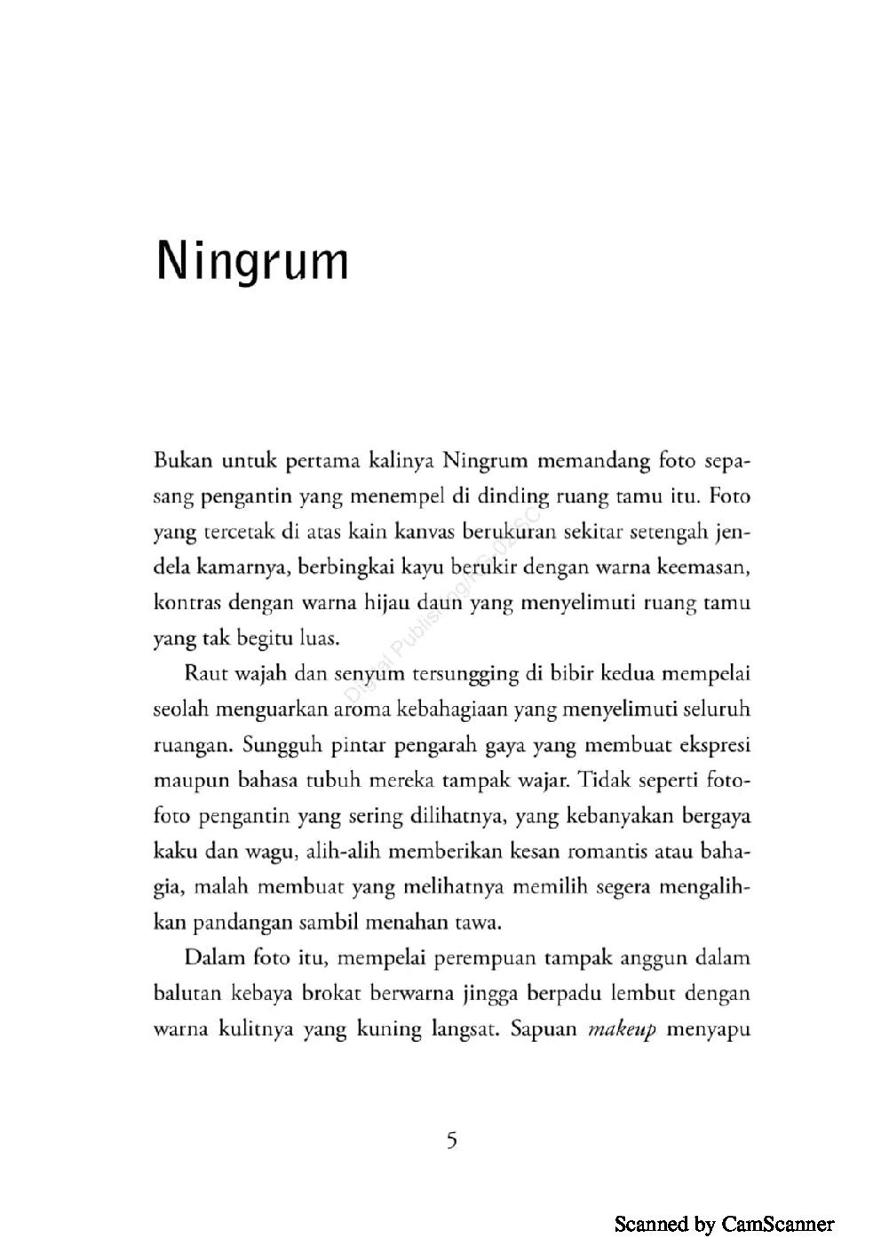 perempuan-bayangan-by-netty-virgiantini