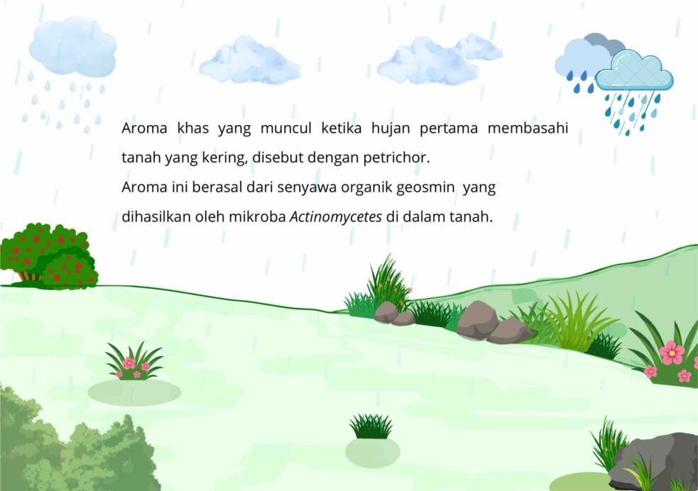 petrichor-ebs-1771059300259
