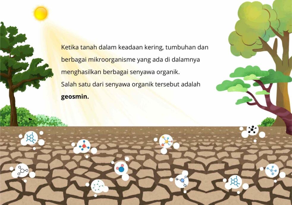 petrichor-ebs-1771059300259