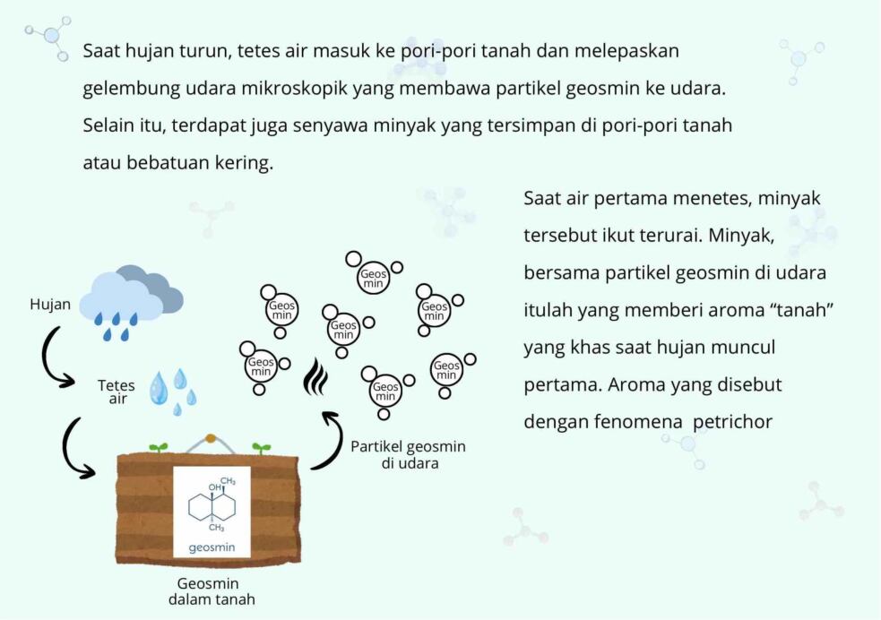 petrichor-ebs-1771059300259