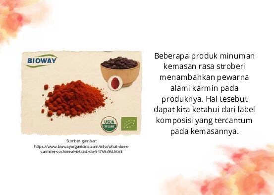 pewarna-karmin-ebs-1776950044072