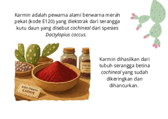 pewarna-karmin-ebs-1776950044072