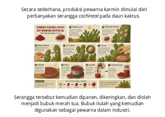 pewarna-karmin-ebs-1776950044072